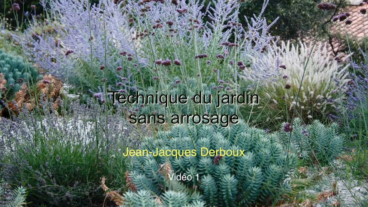 Technique du Jardin sans Arrosage.