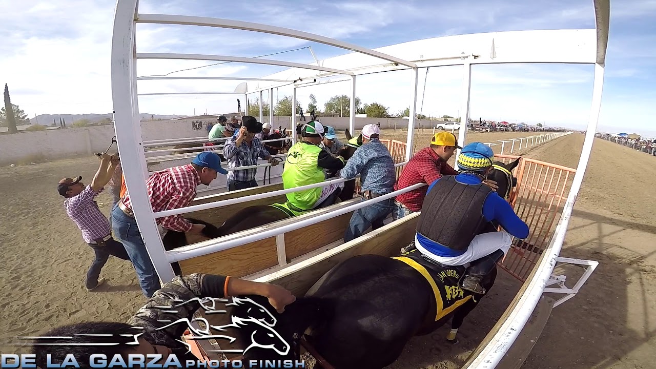 FINAL MATURITY ECOS DEL NORTE 2017 GANA EL MORONI CARRIL EJIDO BENITO JUAREZ CHIHUAHUA 20 DE NOVIEMB