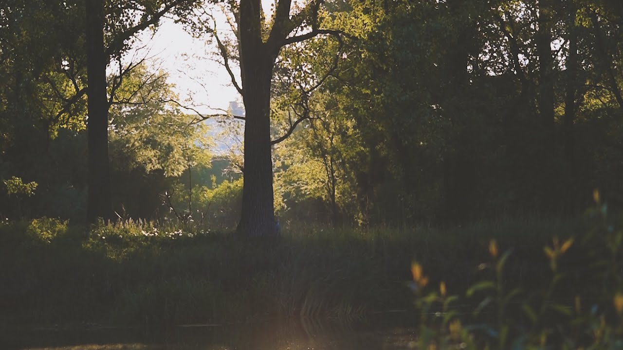 STARORZEKA PIERWSZA WYPRAWA - [FISHINGLOVERS]