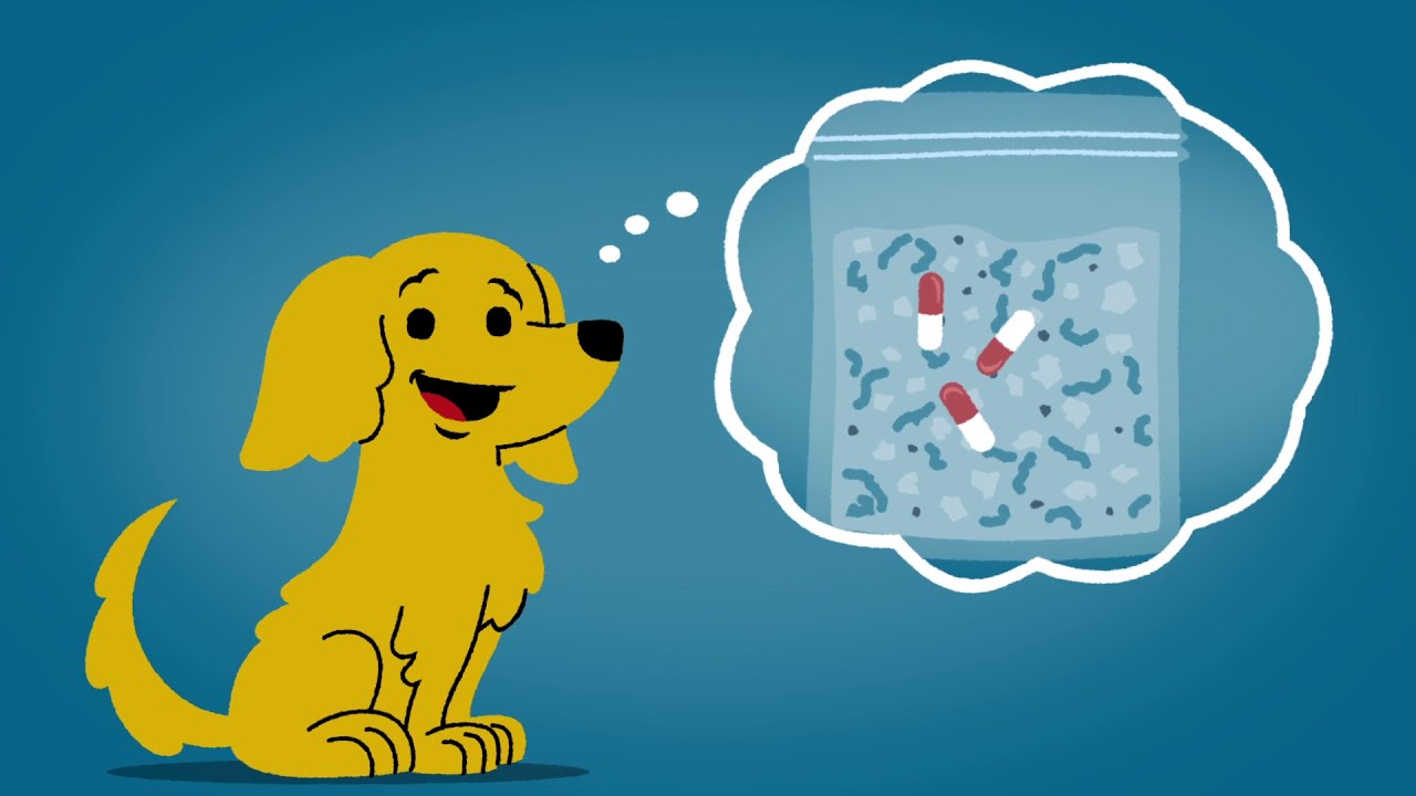 For Kids 5-8 Years Old: Using and Keeping Medicine Safe