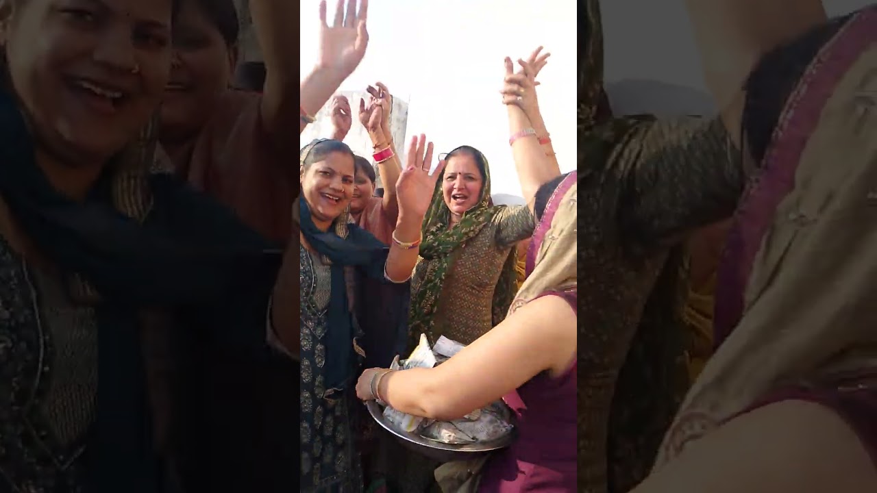 आज शास्त्री कॉलोनी गोहाना शहर में कीर्तन क्या बड़ीधूमधाम से ♥️♥️🙏🙏😄😄6
