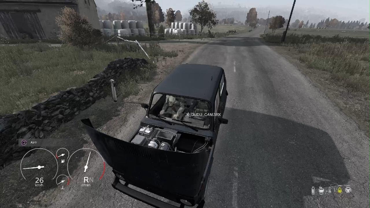 DayZ_20260208210615