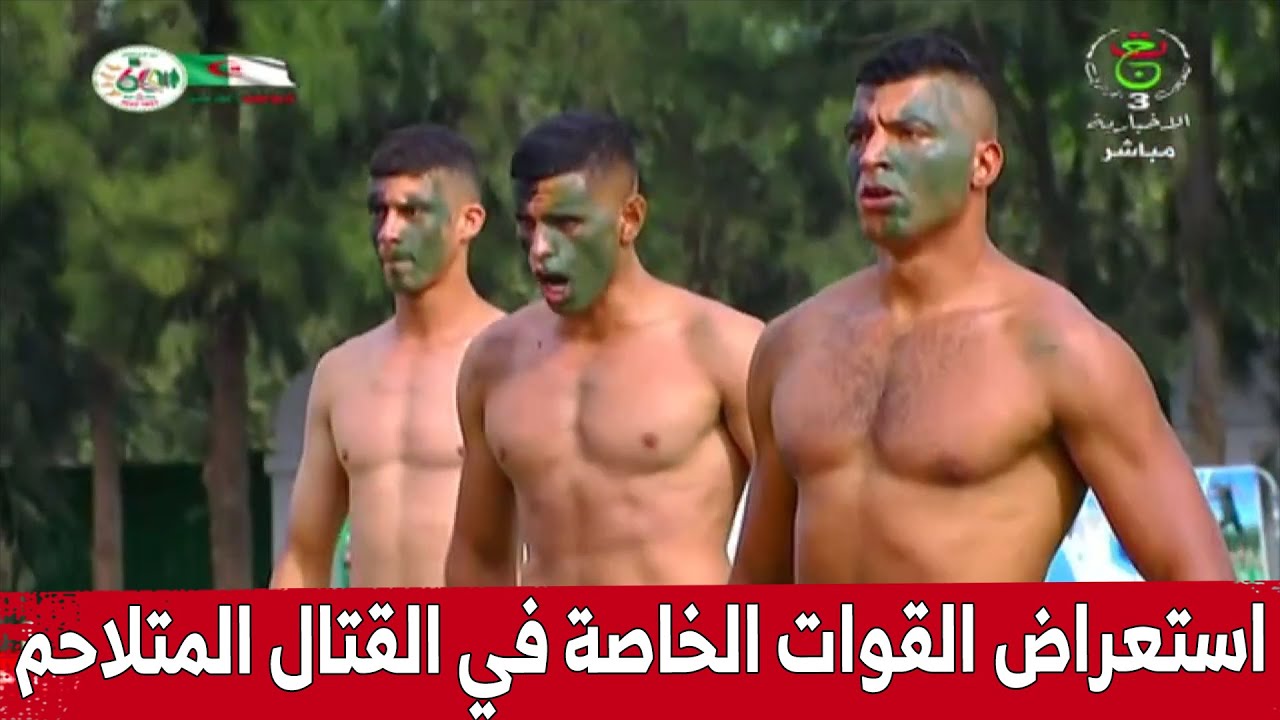 شاهدوا .. القوات الخاصة تبهر في عرض للقتال المتلاحم بمختلف الأسلحة
