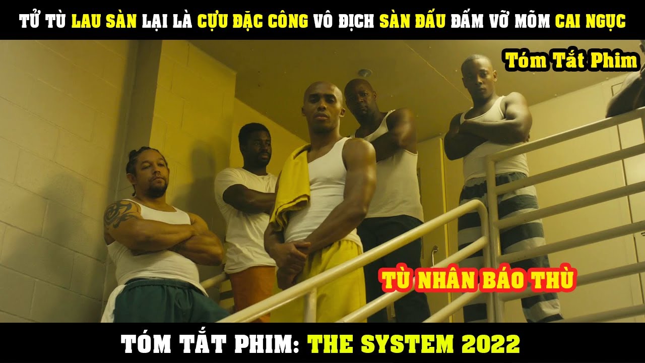 [Review Phim] Gã Tử Tù Lau Sàn Lại Là Cựu Đặc Công Vô Địch Sàn Đấu Đấm Vỡ Mòm Cai Ngục | The System