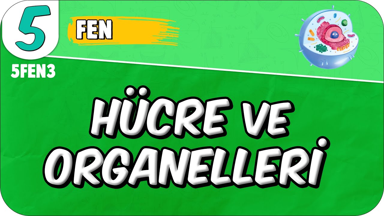 Hücre ve Organelleri 📗 5. Sınıf Fen #2025