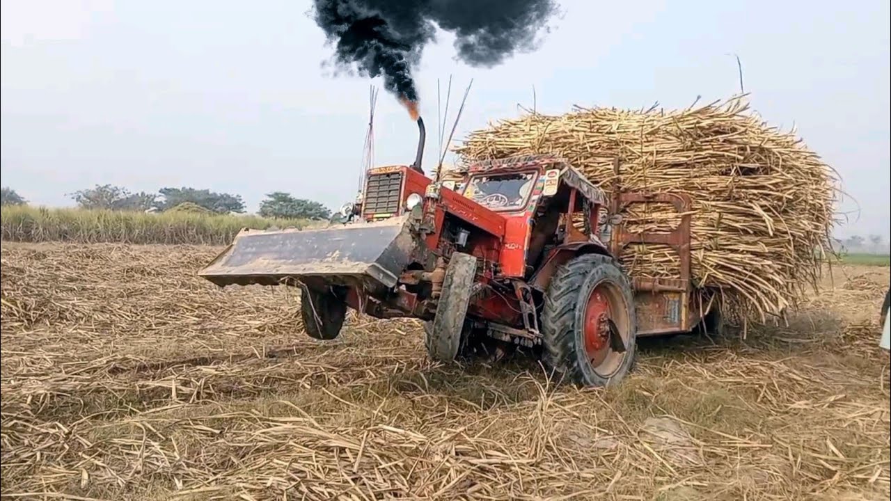 Old Russian Tractor MTZ Great Perfomence In Mud 🔥 | Tractor Trolley Pulling Video || Tractor Video