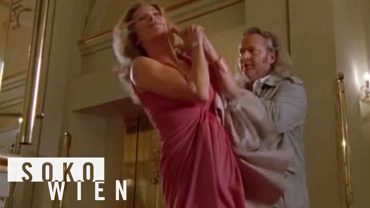 ᴴᴰ SOKO Wien Staffel 6 Folge 8 - Tod eines Schnüfflers