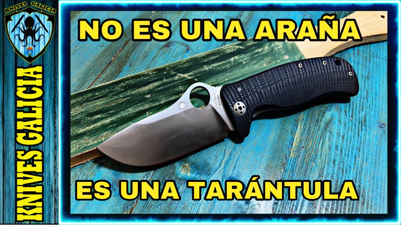 Navaja SPYDERCO LIONSPY | La navaja EDC Italoamericana