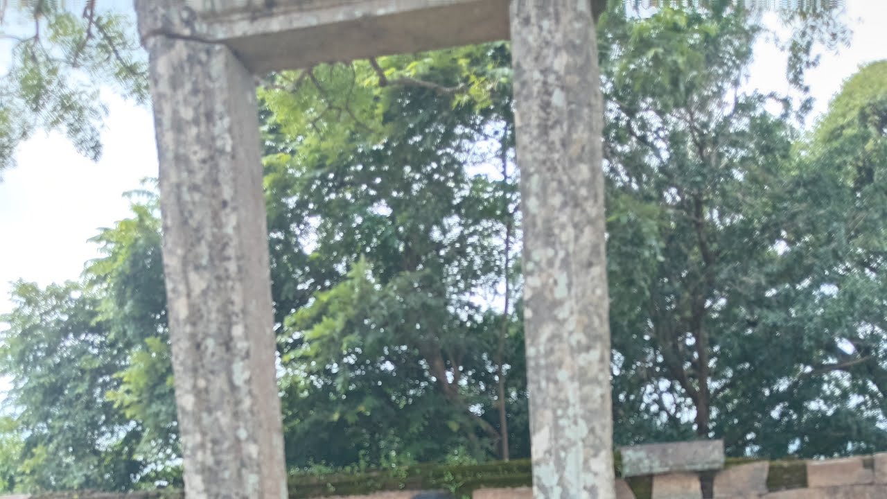 කොල්ලො කෙල්ලො ටික ඉක්මනට එන්න මේ පැත්තට
