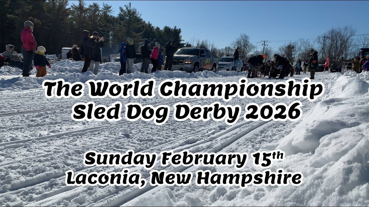 World Championship Sled Dog Derby 2026 (Sunday) - Laconia NH