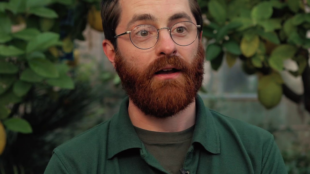 Why study Horticulture? | Wiltshire College & University Centre