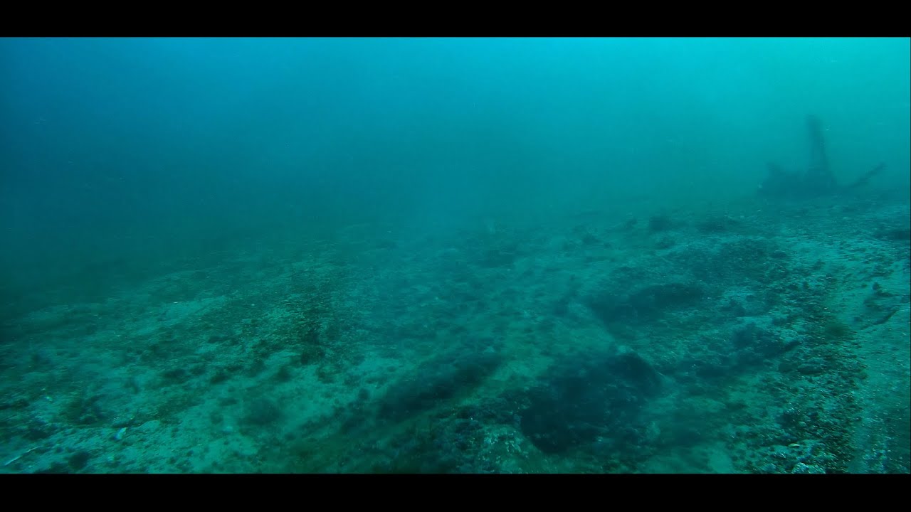 Exploration of the Depths - My first dive with the Gladius Mini S | Gjerøy, Norway