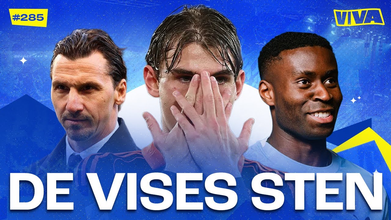 VIVA FOTBOLL - DE VISES STEN #285