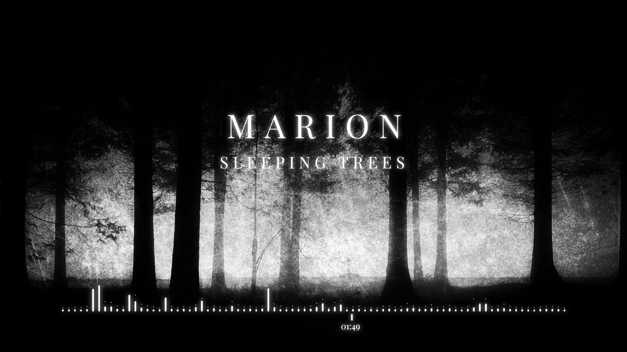 MARION - Sleeping Trees | ChillStep