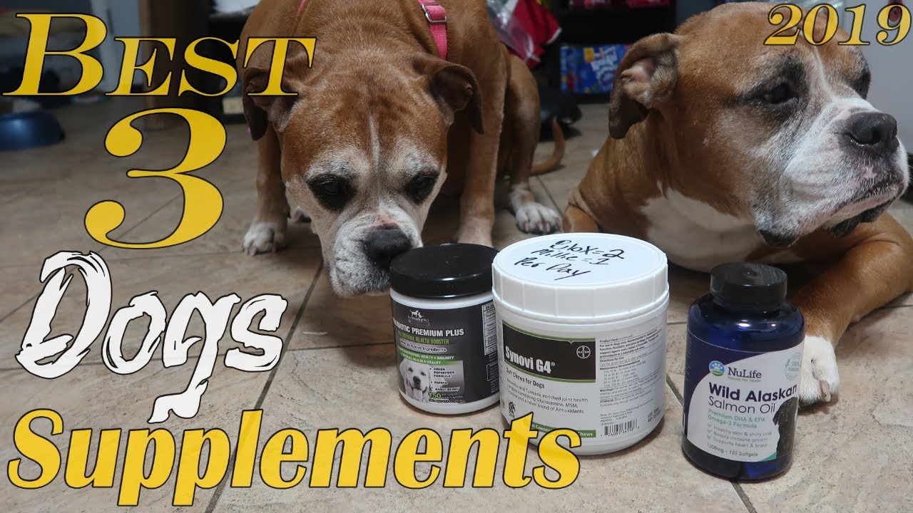 Best 3 DOG Supplements For Joints & Hips Skin & Coat Gut Digestive Health Helps Older DOGS  REVIEWS