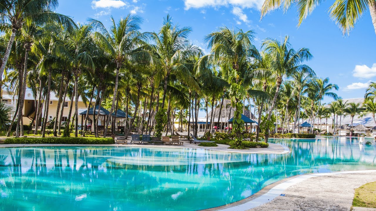😍😍😍EL PARQUE DE PALMERAS MAS HERMOSO DE ESPAÑA - ALICANTE EL PALMERAL - PALM PARK🌴🌴🌴
