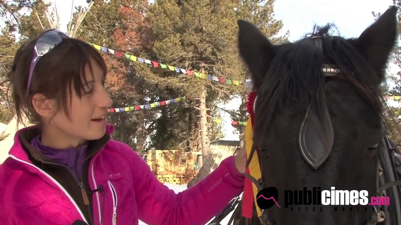 Du traîneau à Ski avec un cheval de Mérens dans les Pyrénées