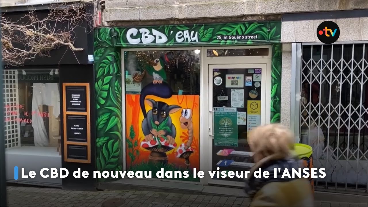 Le CBD de nouveau dans le viseur de l'ANSES