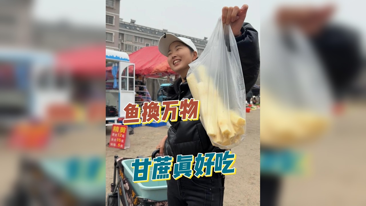连鱼都欺负我