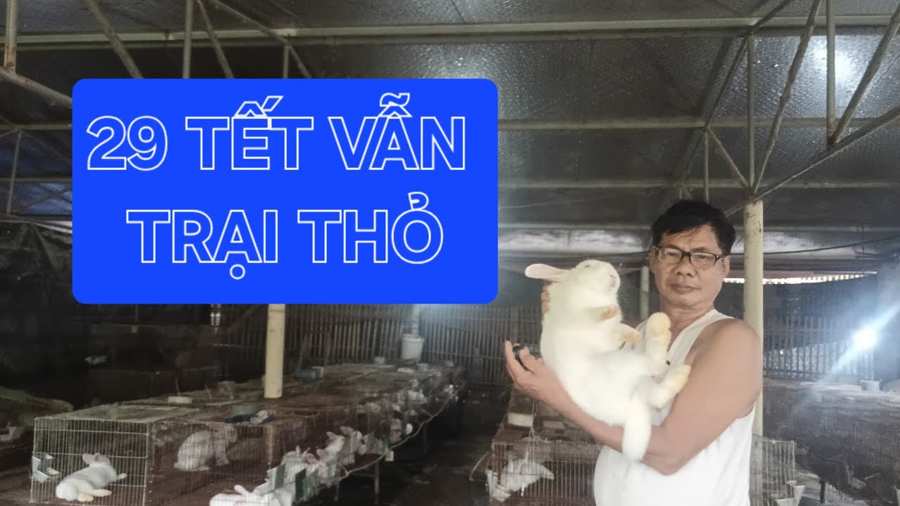 29 TẾT:Lưu Ý 