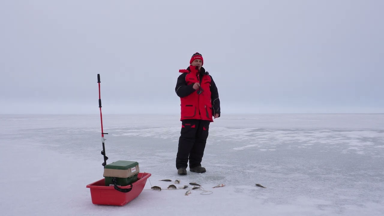 Чудское озеро 23 12 23