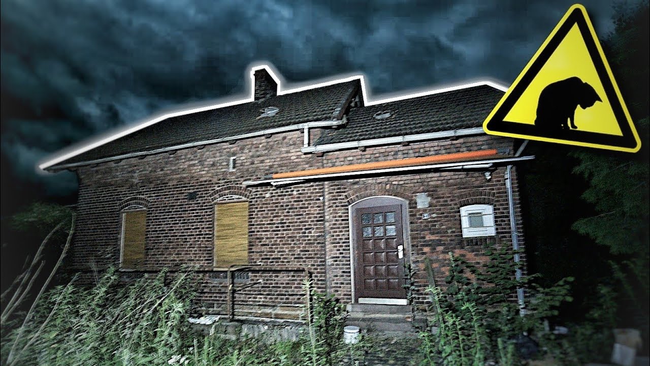 DAS HORRORHAUS DES KATZEN SCHÄNDERS 🐱