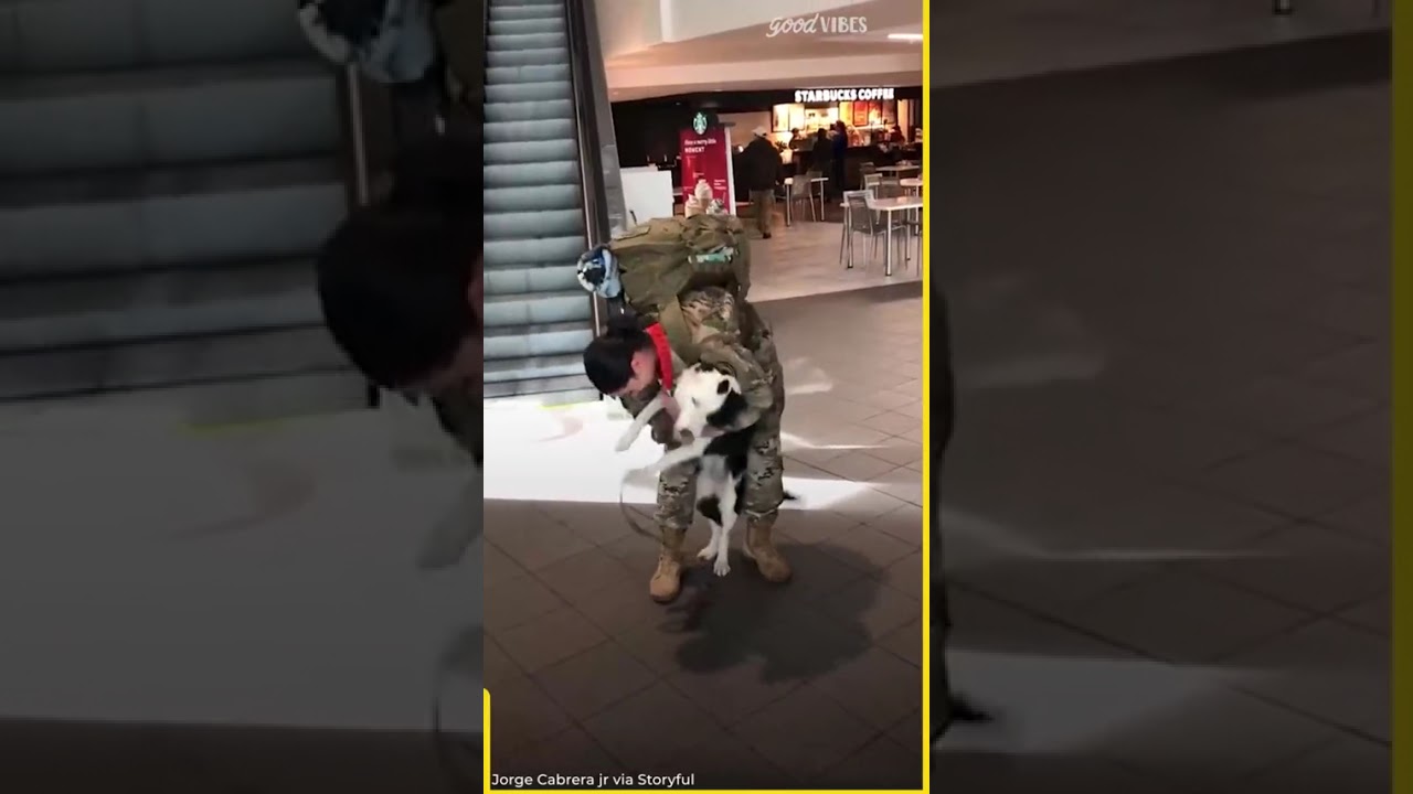 I'm Not Crying, You're Crying! 😭