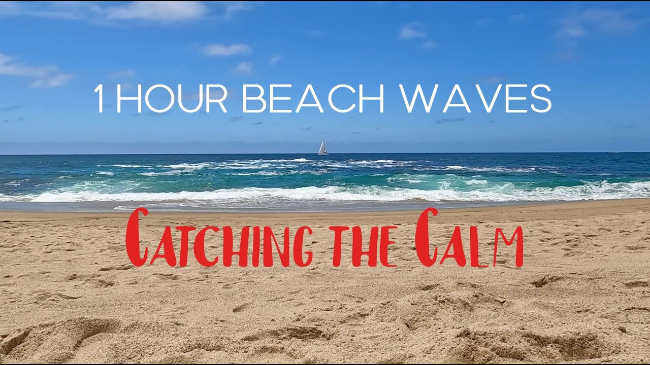 1 HOUR LAGUNA BEACH WAVES - WHITE NOISE, AMBIENCE, SLEEP, ANXIETY, STUDY, CALM, RELAXING SOUNDS!