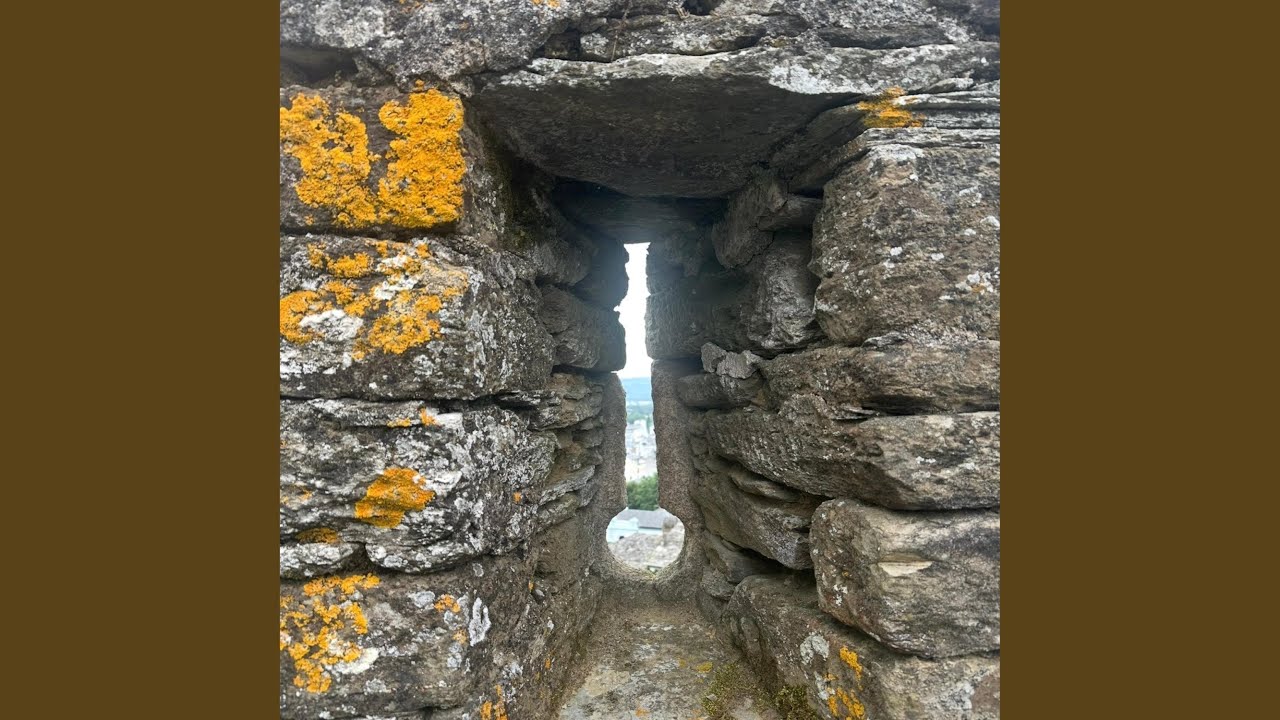Enjoy the View
