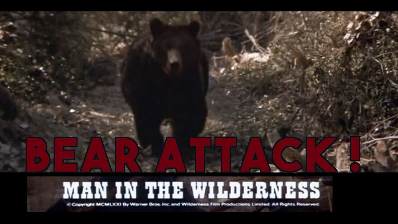 MAN IN THE WILDERNESS (1971): Bear Attack Scene Remade in THE REVENANT (2015)