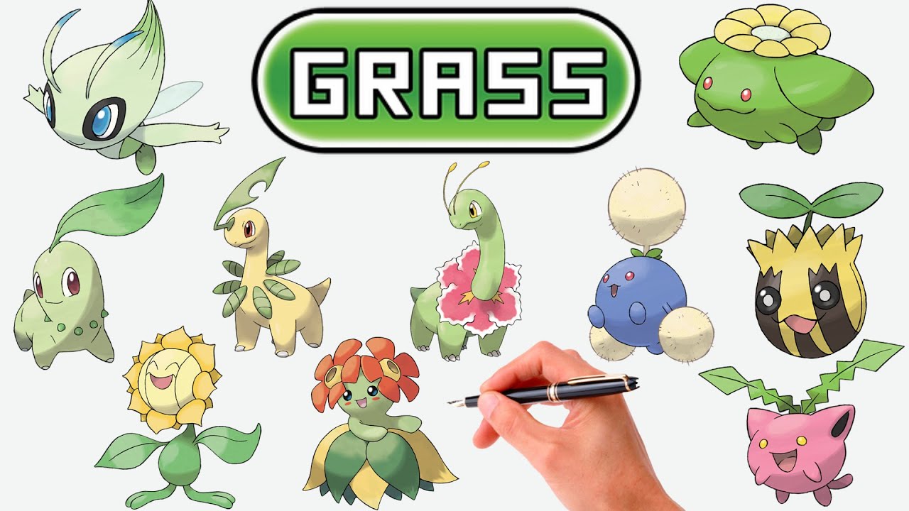 Dibujando Todos los Pokémon de Tipo Planta de la Gen 2 | Pokémon Clasificados por Tipos