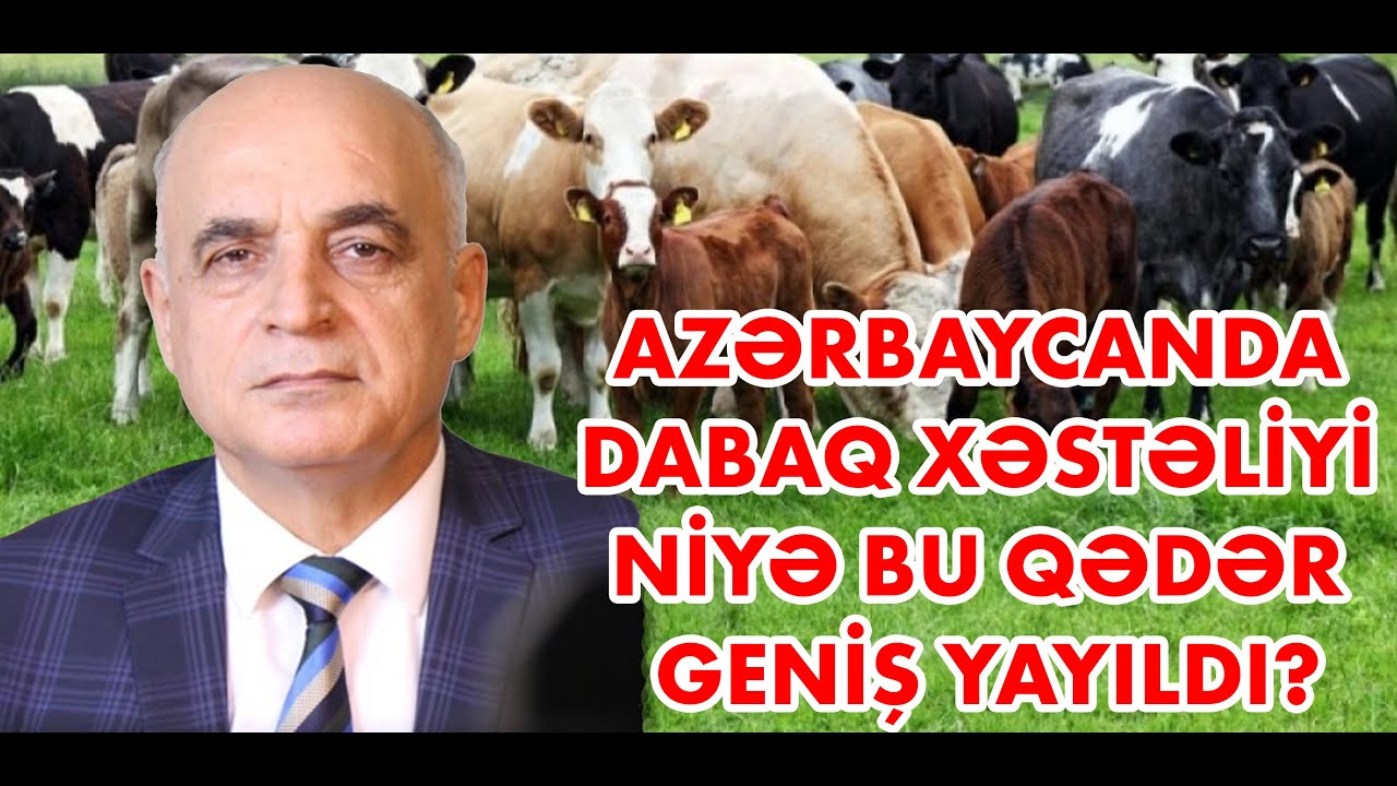 Azərbaycanda dabaq xəstəliyi niyə bu qədər geniş yayıldı?