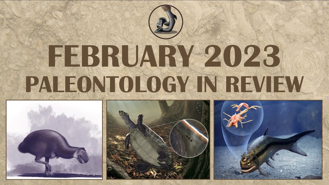 February 2023- Paleontology in Review