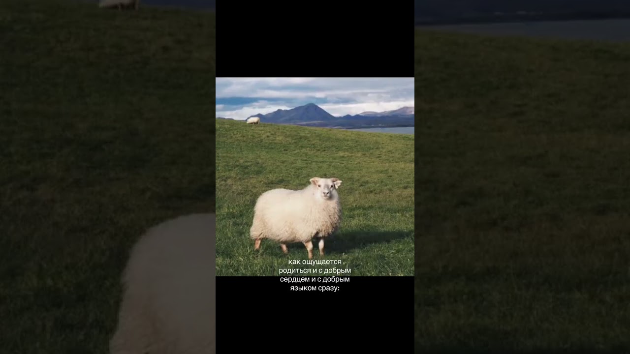 о да......🌷 #активпж #elbruto #нетхейту #edit #залити #пустьзалетит #хочуврек #залитиврек #врекипж