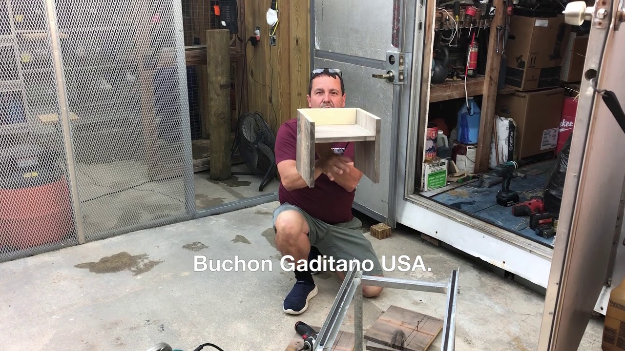 Buchon Gaditano USA, #119, Como hacer para que los arredores crien el pichon al maximo.