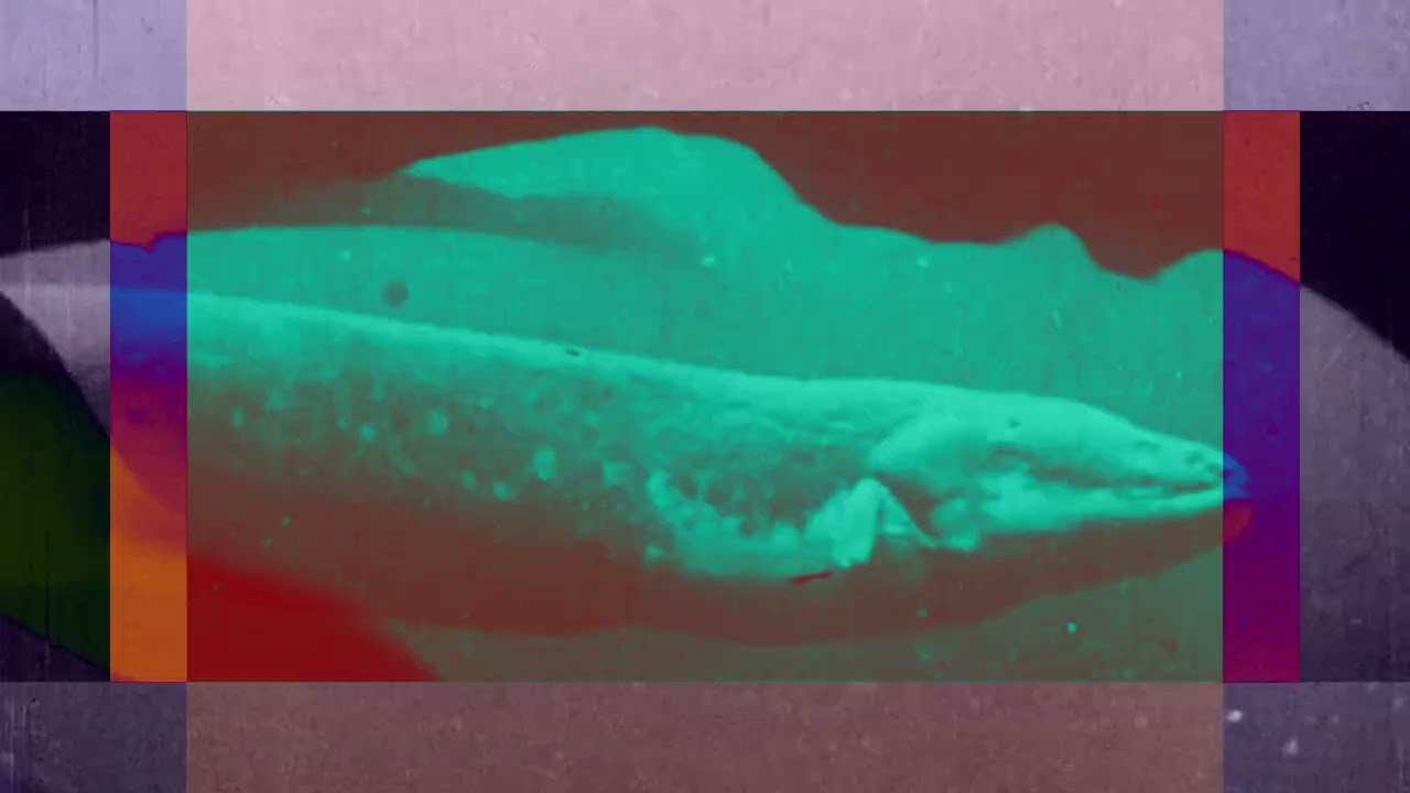 Droneghost -  Quantum Void  (Original Mix) Video Dietriangle ART21013