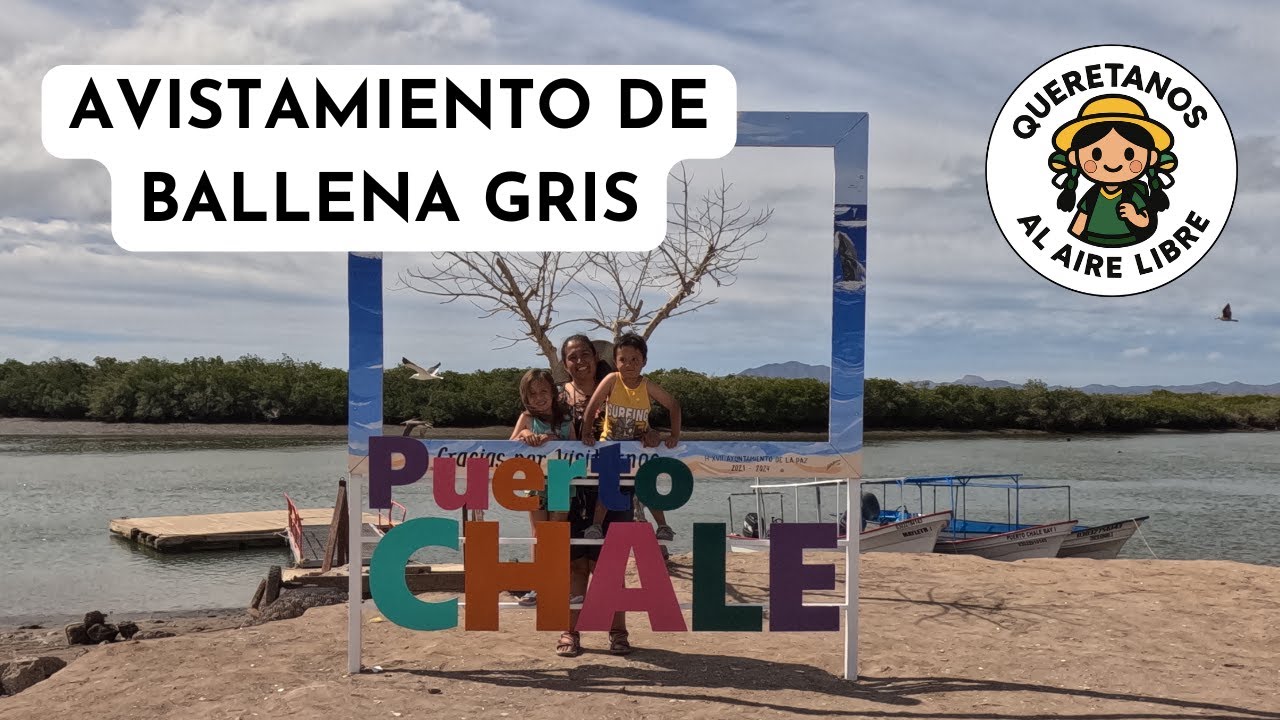 Avistamiento de Ballenas en 