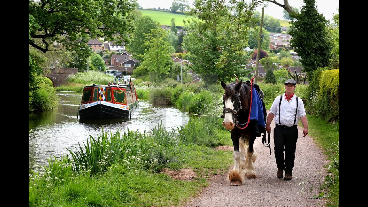 Horse Drawn Barge in Grand Western Canal - Tiverton