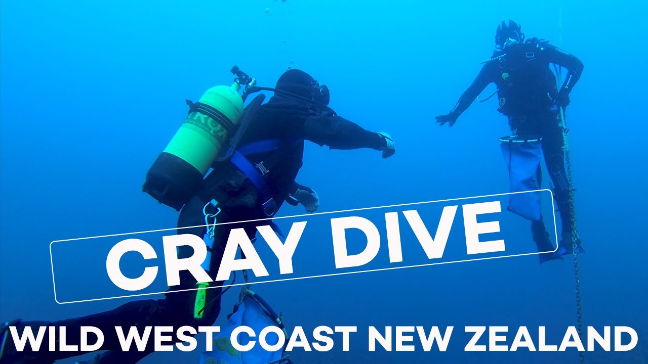 Crayfish Dive Wild West Coast of New Zealand