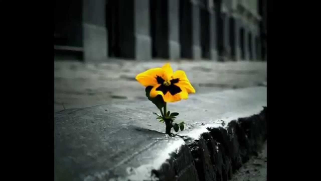 Her&oacute;is da Resist&ecirc;ncia - Sinal dos tempos