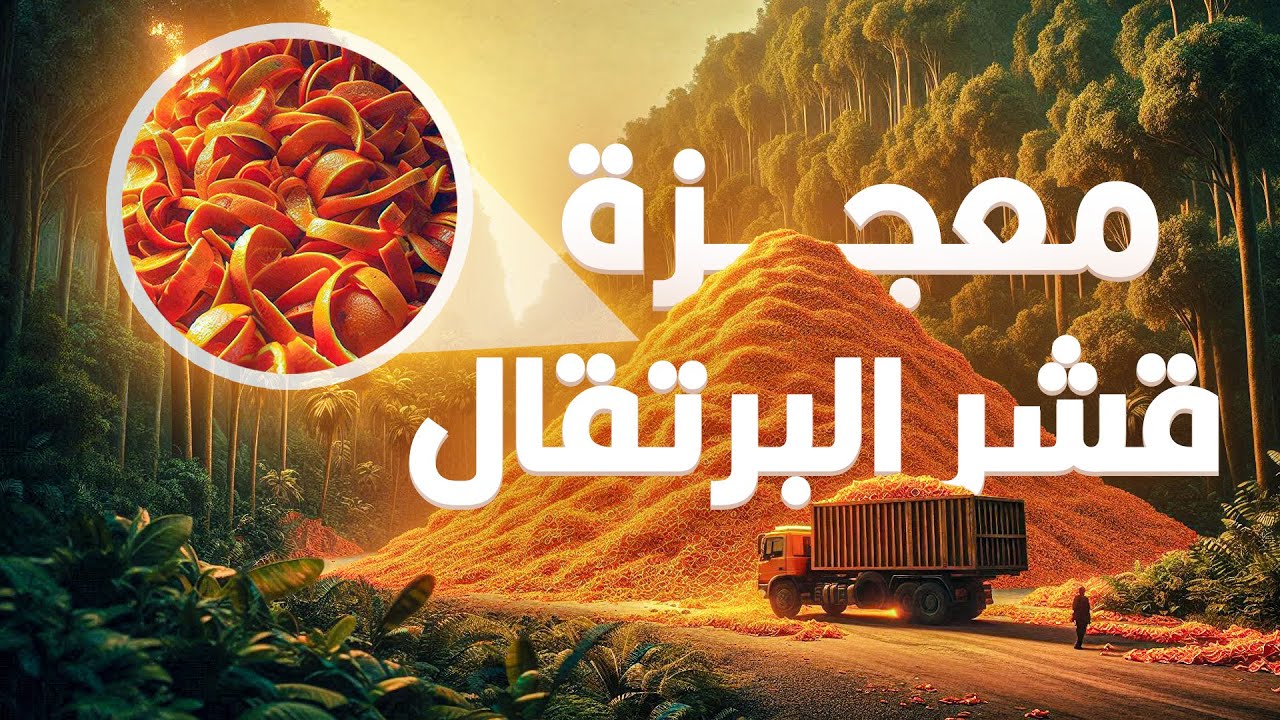 ١٢ ألف طن من قشر البرتقال.. صنعوا غابة