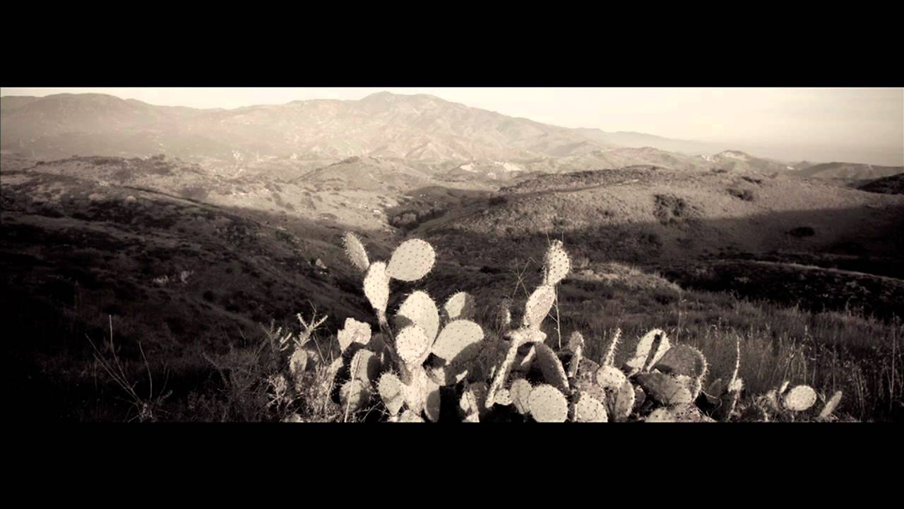 Coyotes by Don Edwards and photography by David R. Stoecklein