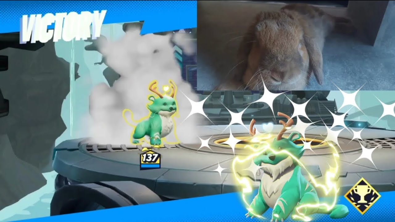 REINDOG IS A GOD (MULTIVERSUS)