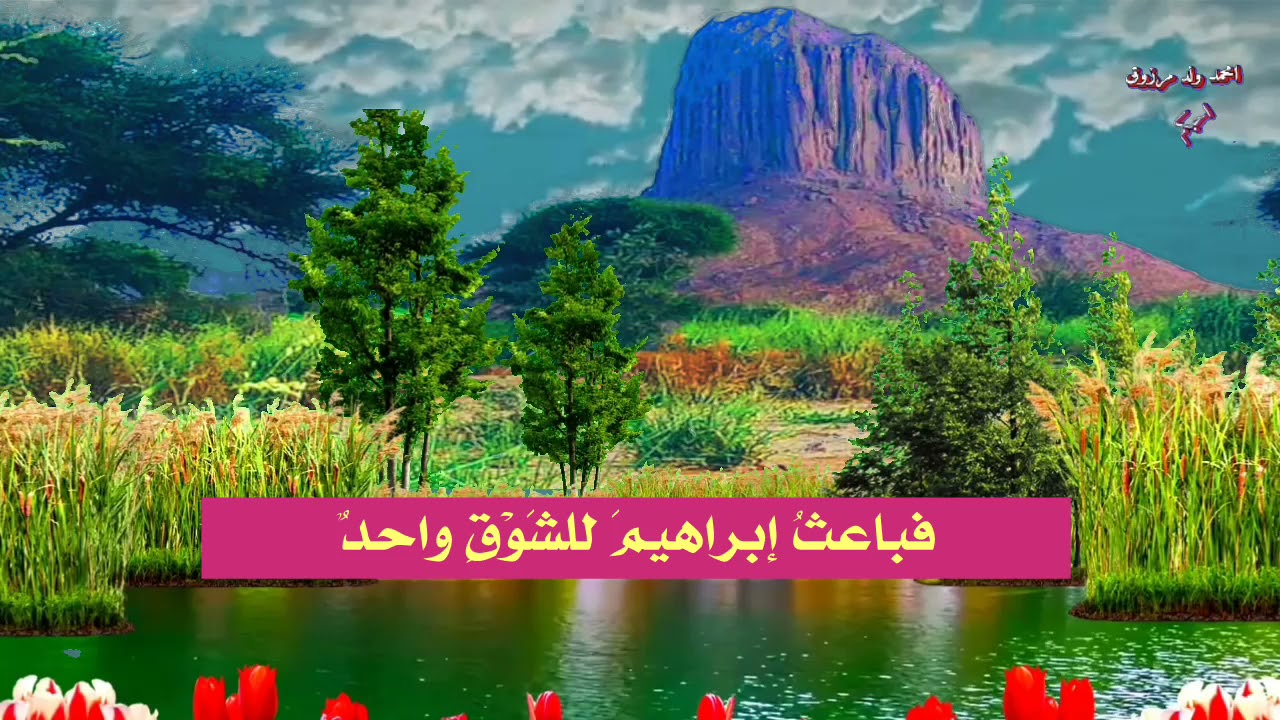 طبيبي قريب
