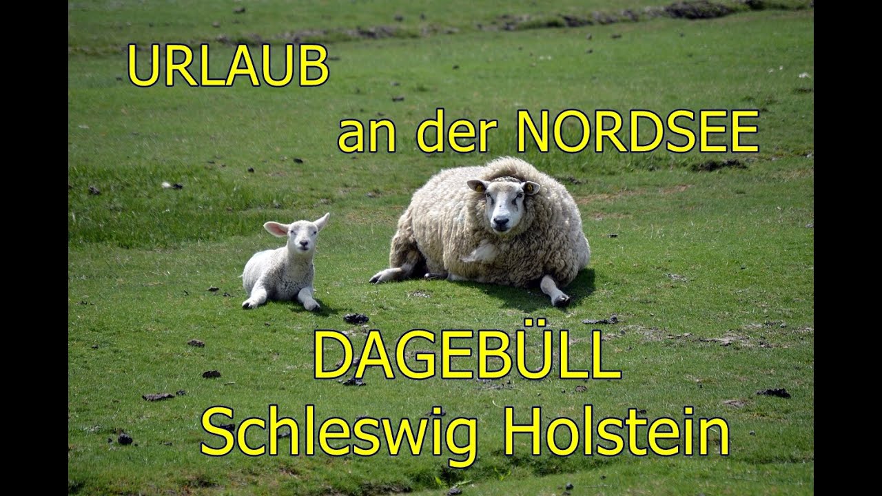 Urlaub in Deutschland 2021 an der Nordsee in Dagebüll  -  Ferienwohnung mit Hund