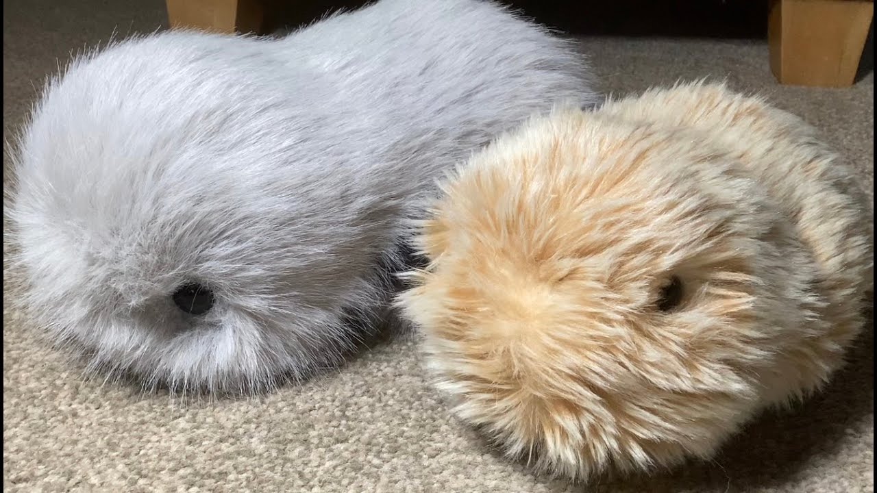Cupboo AI Intelligent Pet Robot Plush Companion Update, Moflin Comparison & Answering your Questions