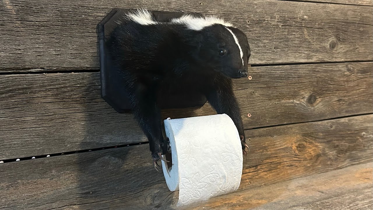How to Make a Skunk Taxidermy Toilet Paper Holder