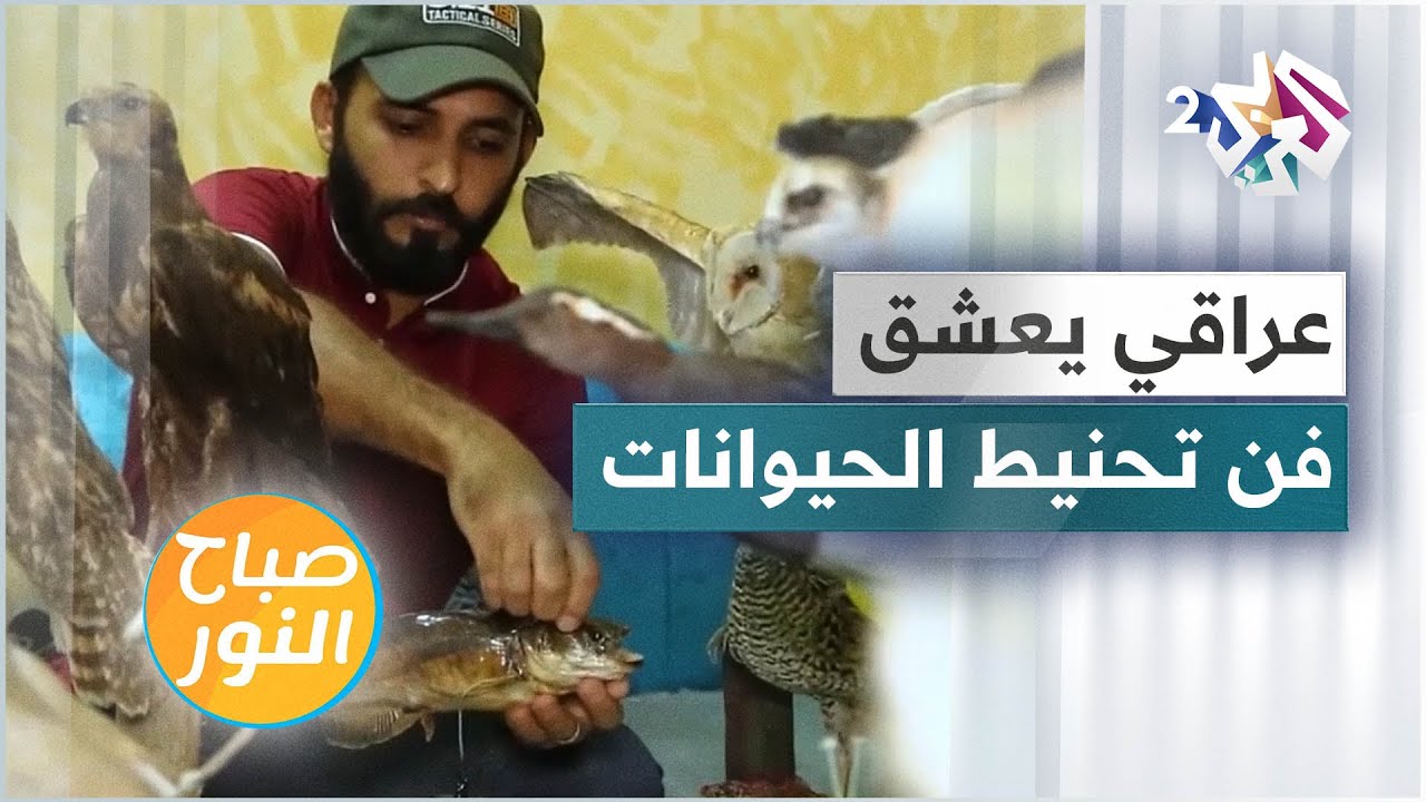 حسن نعيم العمري .. شاب عراقي عشق تحنيط الحيوانات فحول منزله إلى غابة