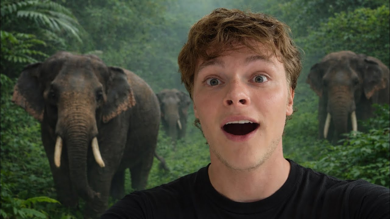 Spending A Day With Elephants!!