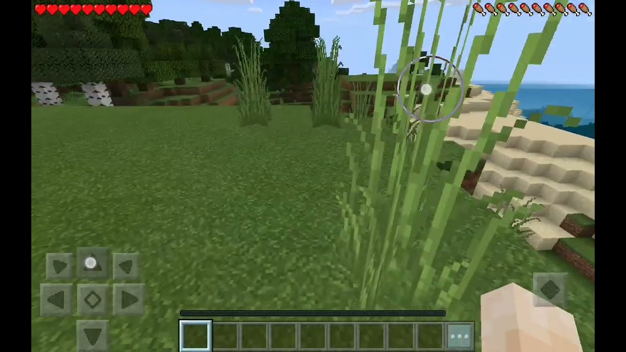 Mincraftın 23 üncü bölümü maalesef FİNAL bölüm 😭😭